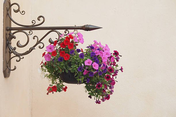 urban garden